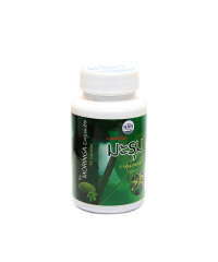 Фитопрепарат Моринга в капсулах (Konga Herb) - 100 капсул.