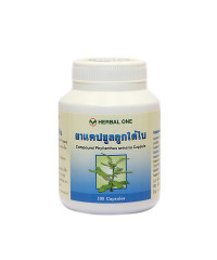 Фитопрепарат филлантус мочегонный (Herbal One) - 100 капсул.