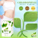 Хлорофилл плюс клетчатка Colly (PPT PLUS) - 75 гр. Хлорофилл плюс клетчатка Colly (PPT PLUS) - 75 гр.