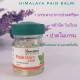 Болеутоляющий бальзам PAIN BALM Strong (Himalaya) - 10гр. Болеутоляющий бальзам PAIN BALM Strong (Himalaya) - 10гр.