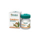 Бальзам от простуды быстрого действия COLD BALM Rapid action (Himalaya) - 10гр. Бальзам от простуды быстрого действия COLD BALM Rapid action (Himalaya) - 10гр.